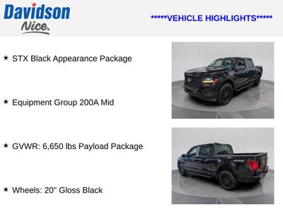 2025 Ford F-150 STX