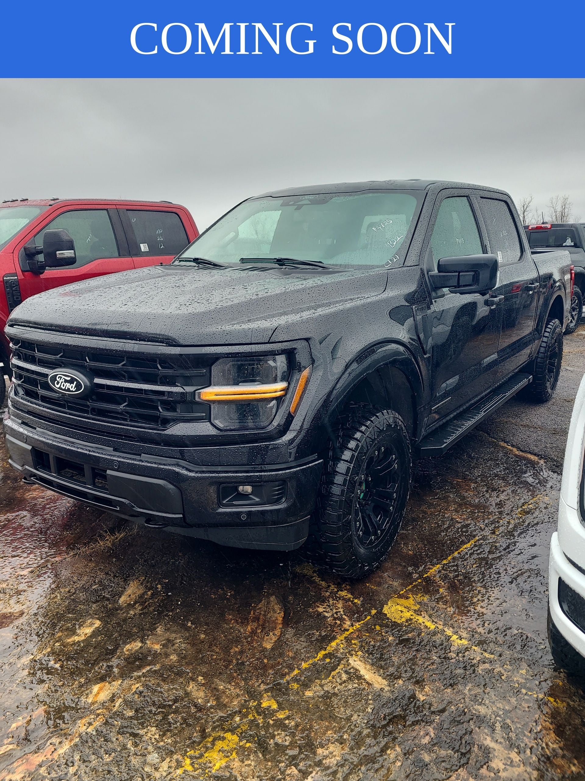 2024 Ford F-150 XLT