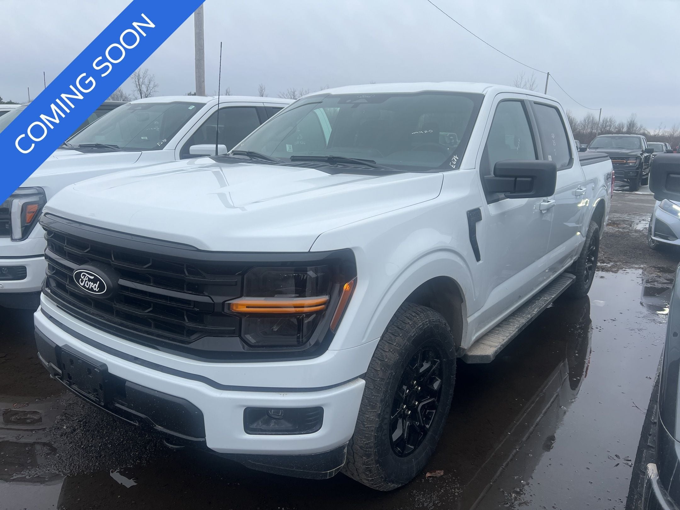 2025 Ford F-150 XLT