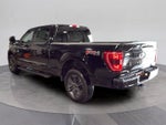 2023 Ford F-150 Base
